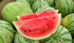 今日吃瓜网,揭秘娱乐圈最新热点事件，带你领略明星幕后故事