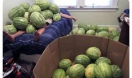 今日吃瓜--今日大赛,吃瓜群众狂欢盛宴